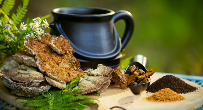 Mushroom Market Trends in 2025